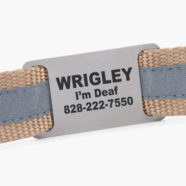 Personalized name plate on reflective webbing leash